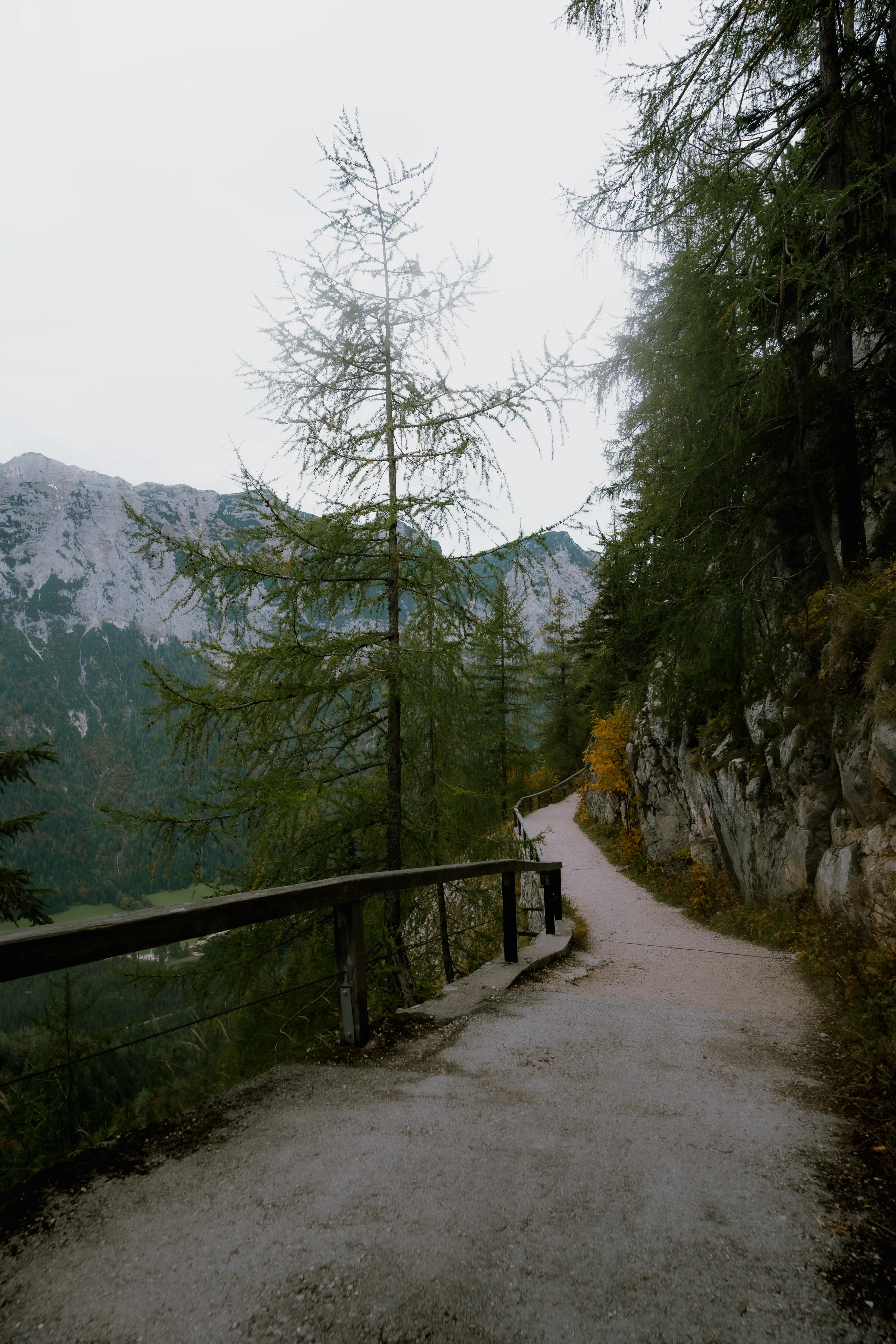 Germany Black Forest photography 4