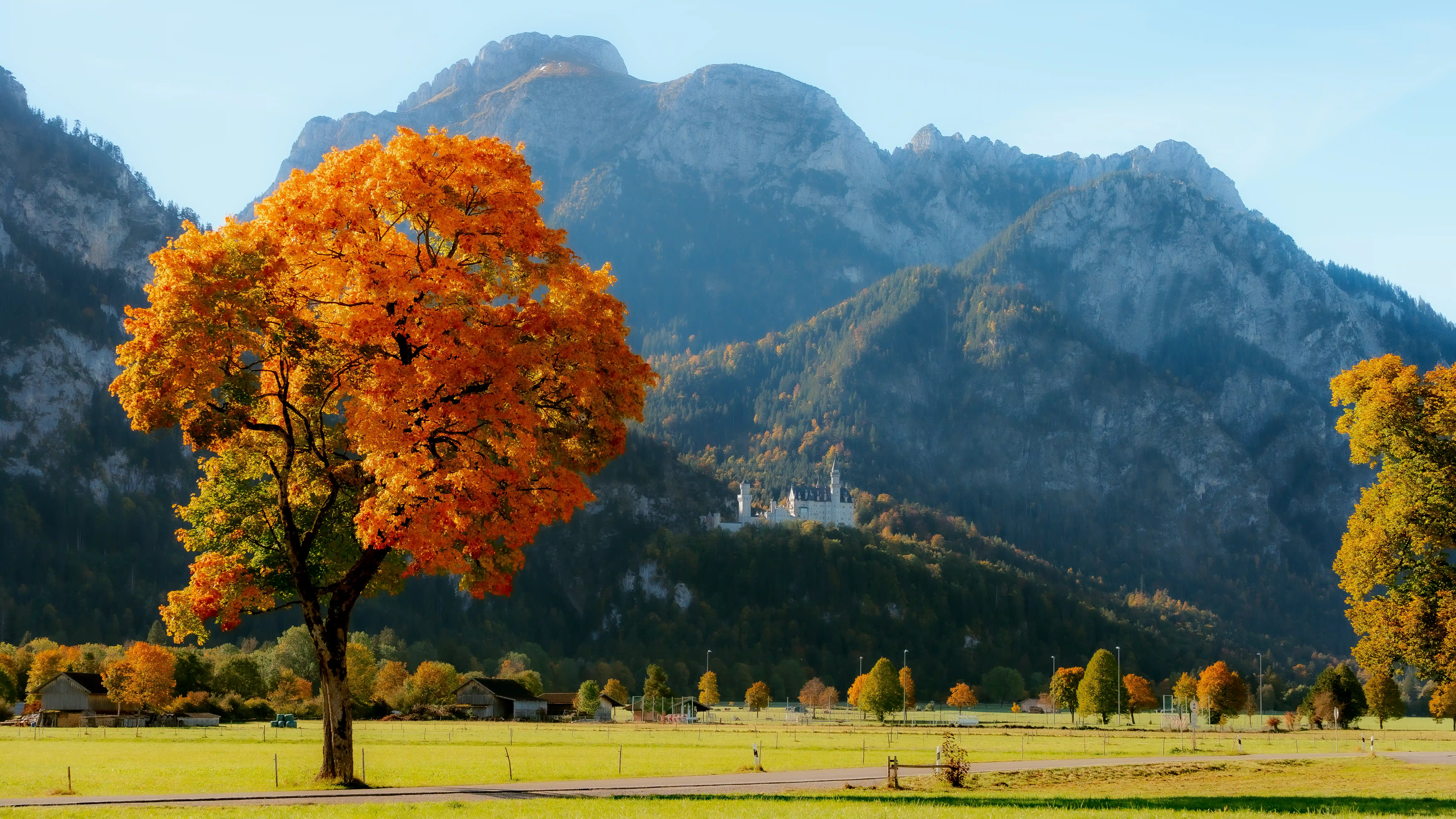Germany Black Forest photography 6