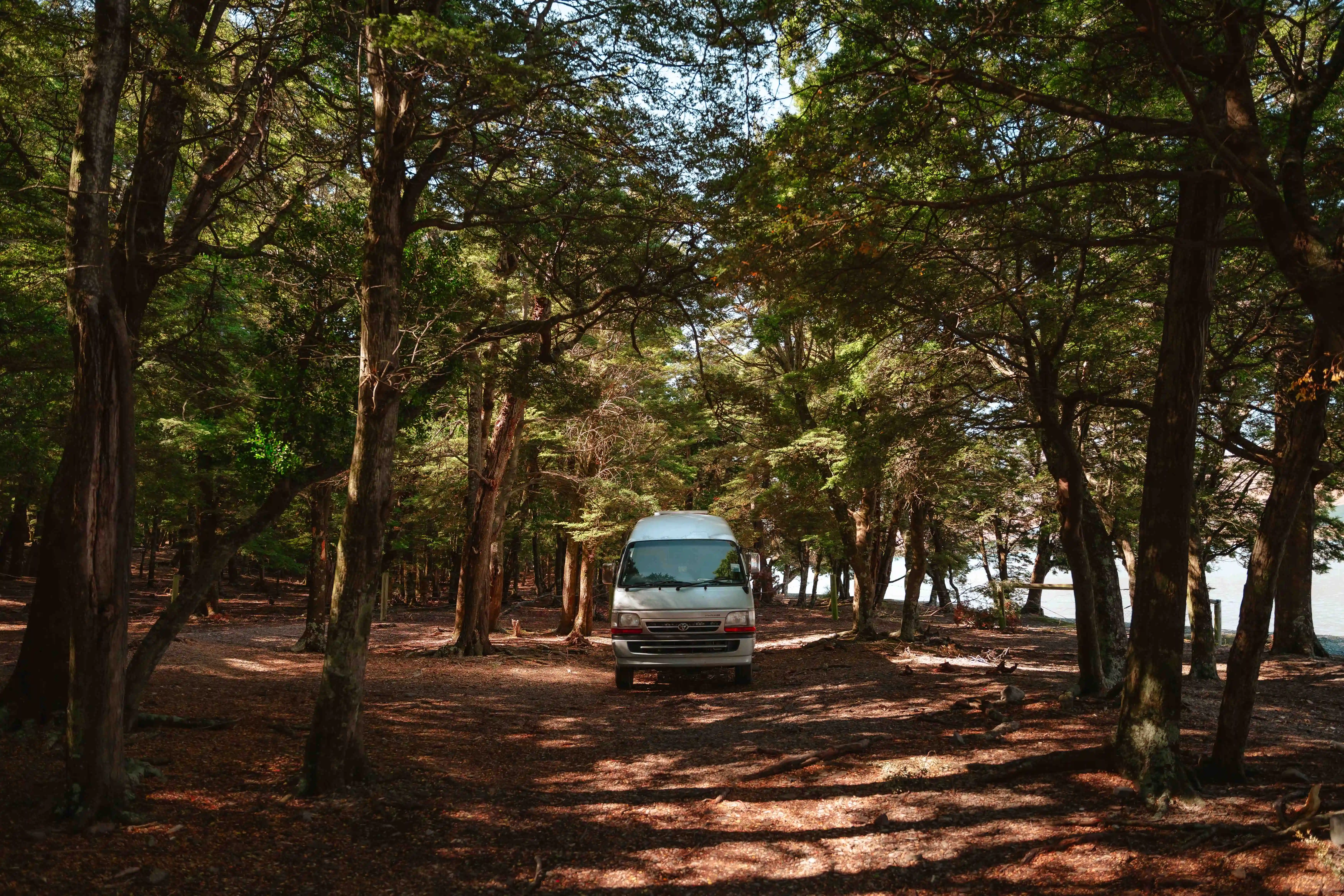 Campervan nestled in the trees just steps from the Lake Ohau lakeshore