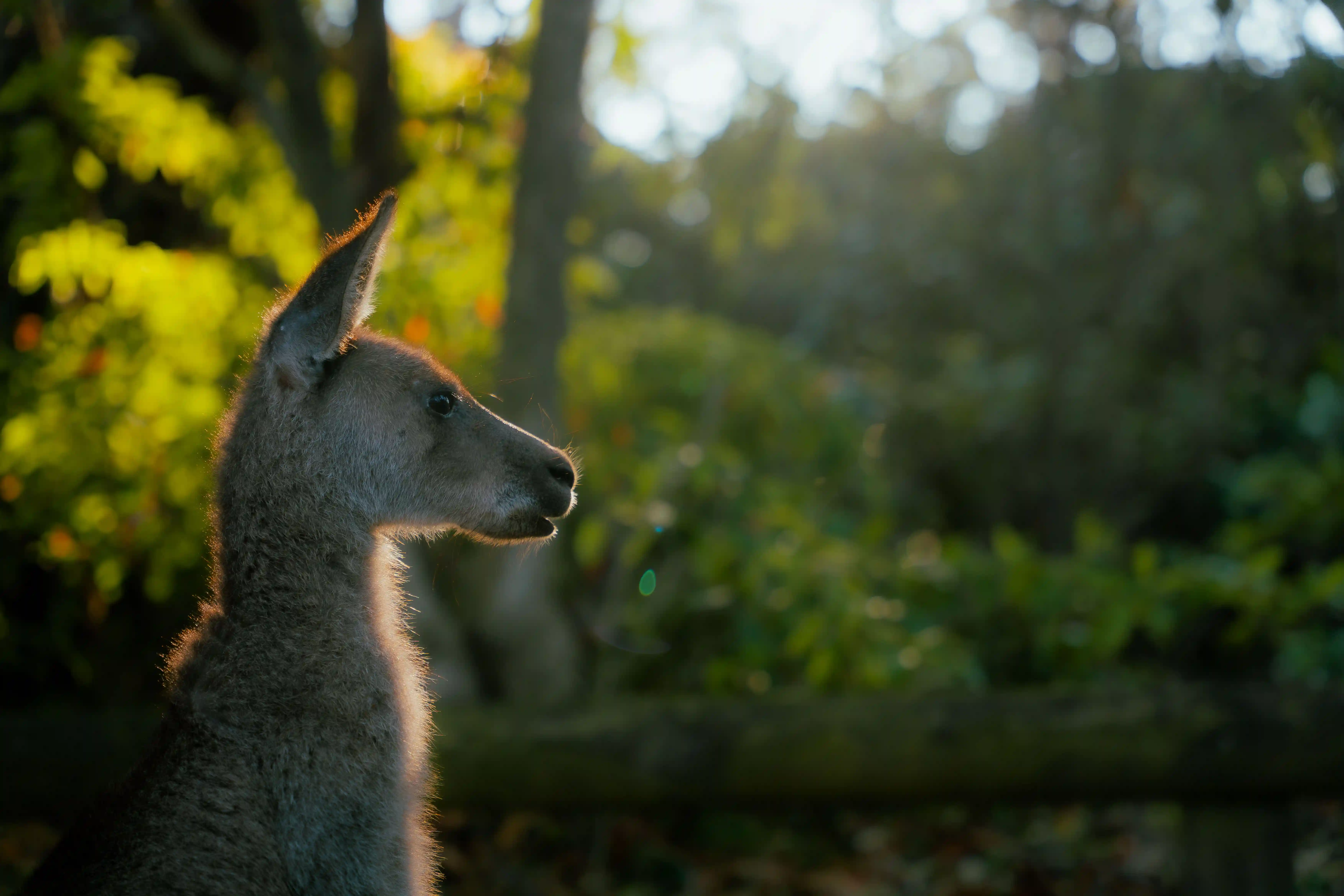 Sydney to Melbourne road trip photography 8