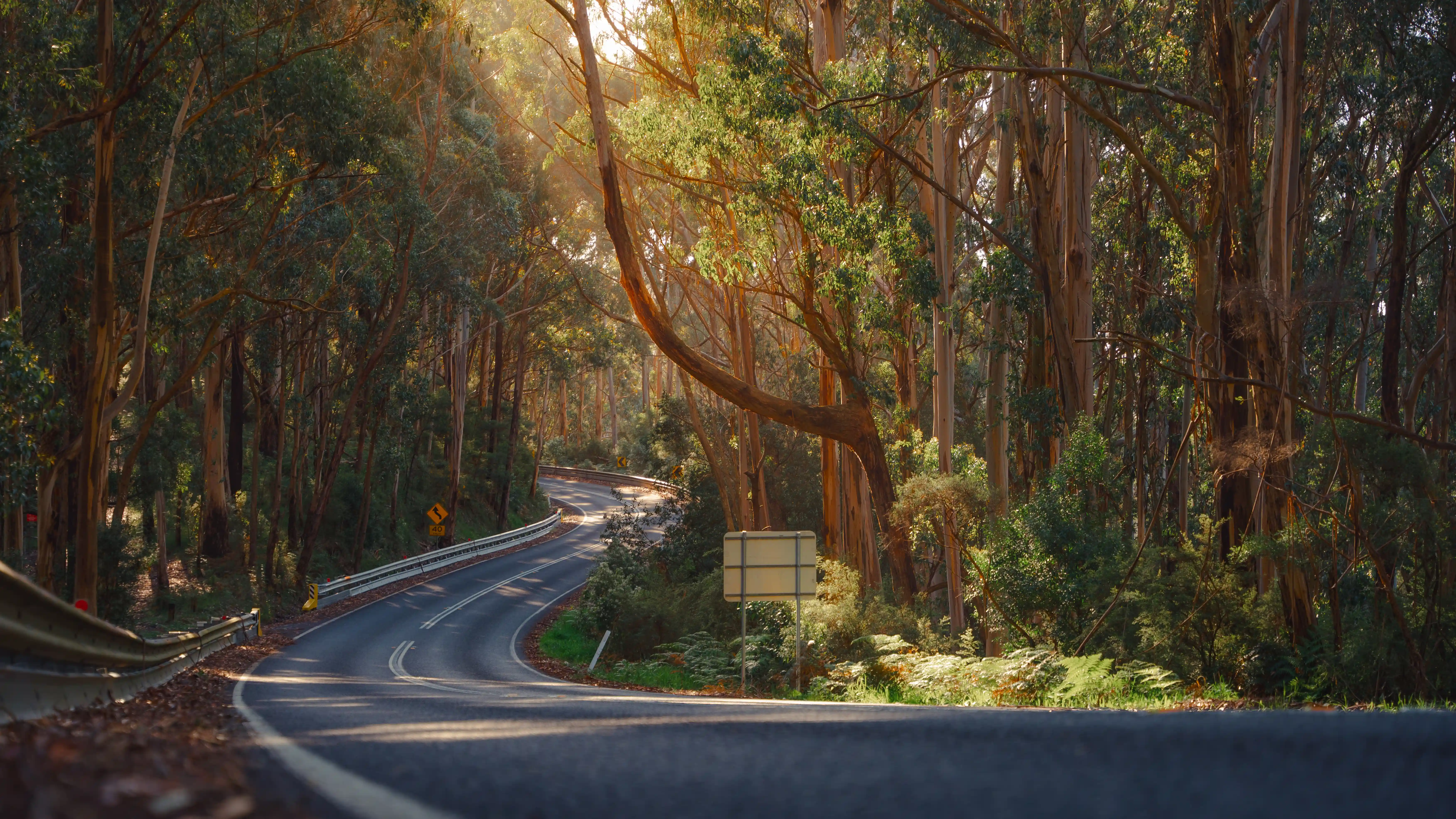 Scenic coastal highway on the Sydney to Melbourne road trip