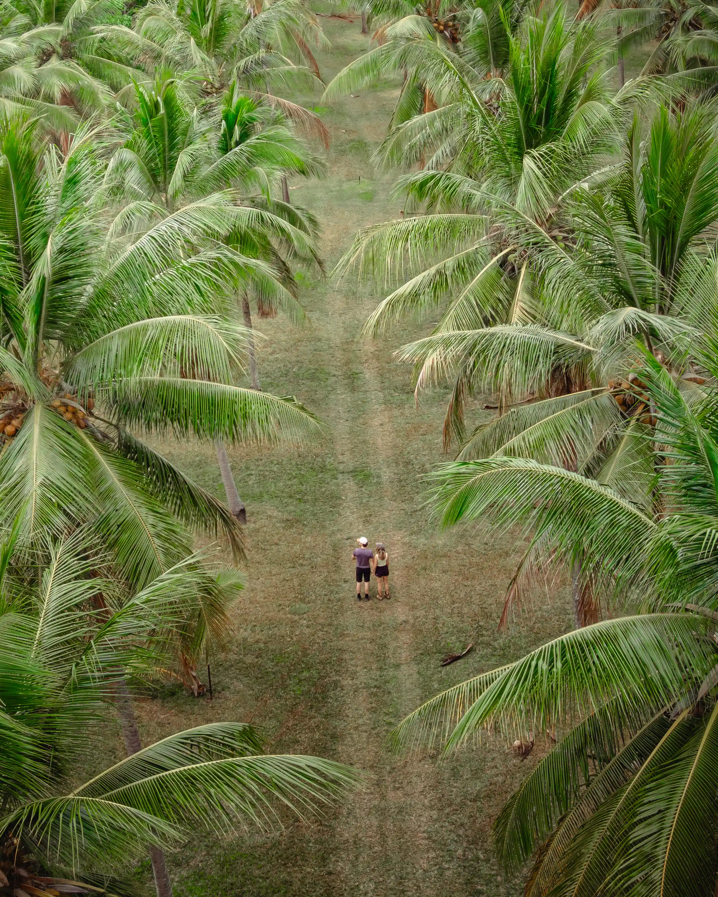 Eco-tourism resort content